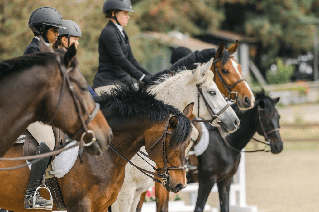 the woodside horse show!

