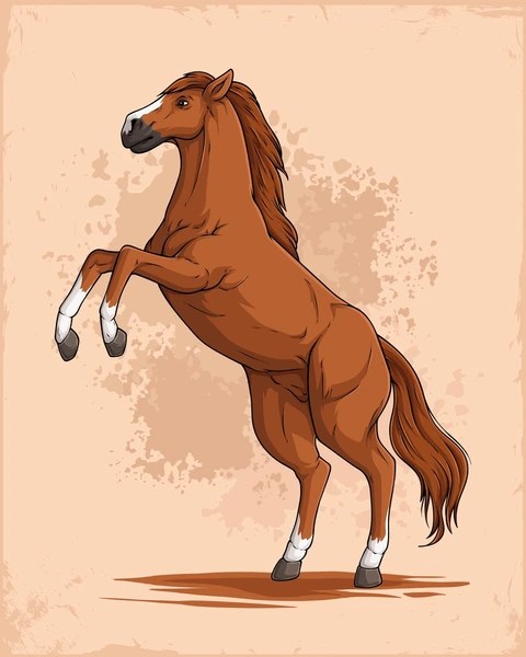 Riding to the Finish –&nbsp;6/4/24